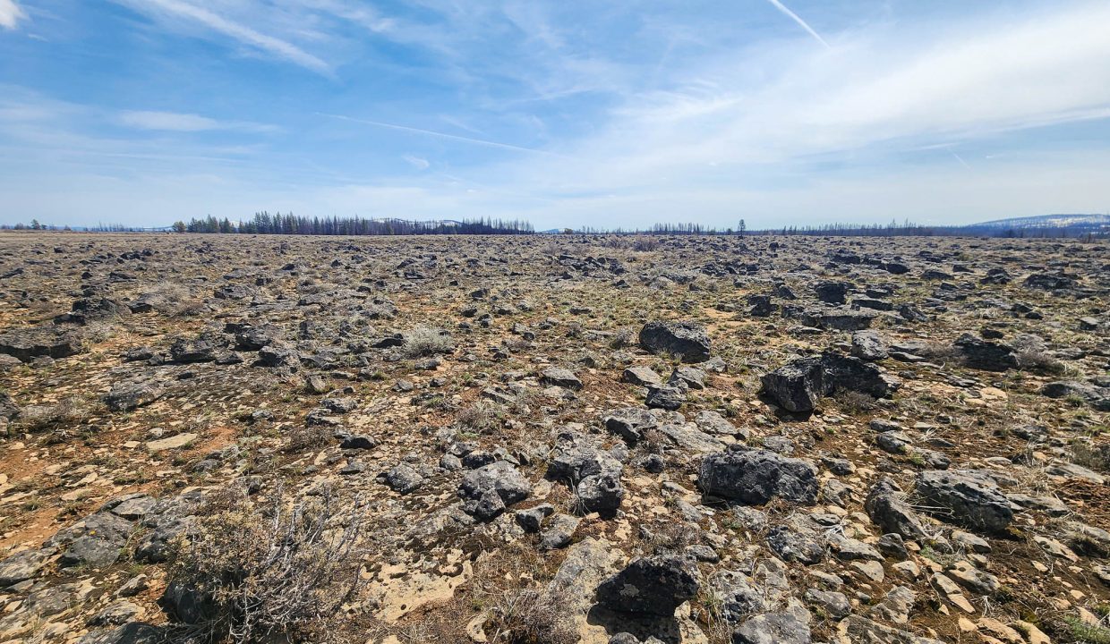 180413 SE corner looking SE