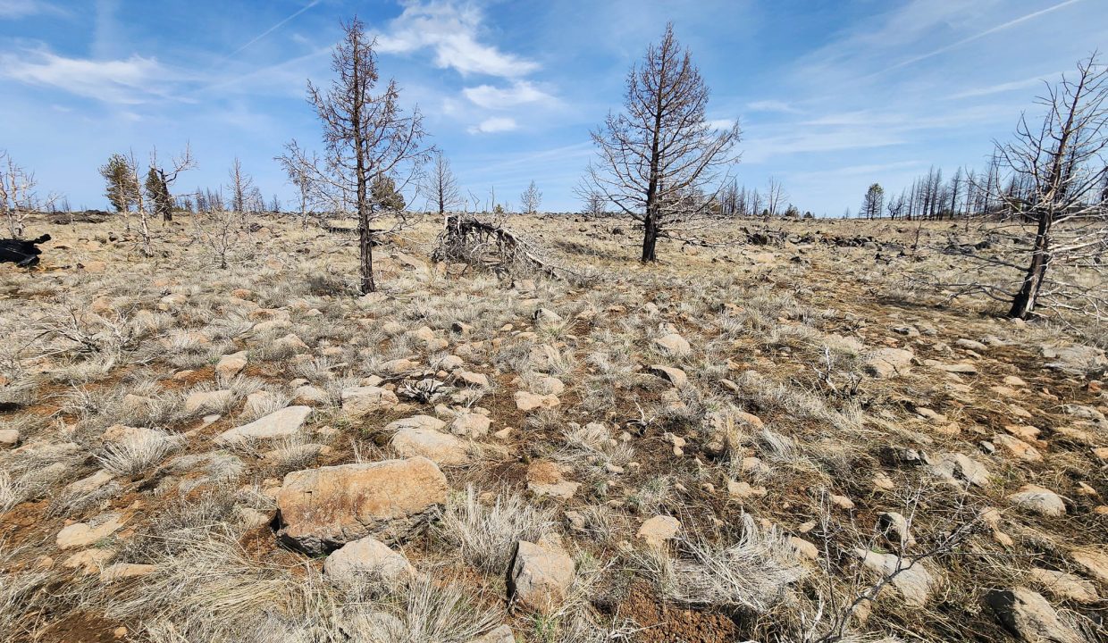 180413 SW corner looking NE