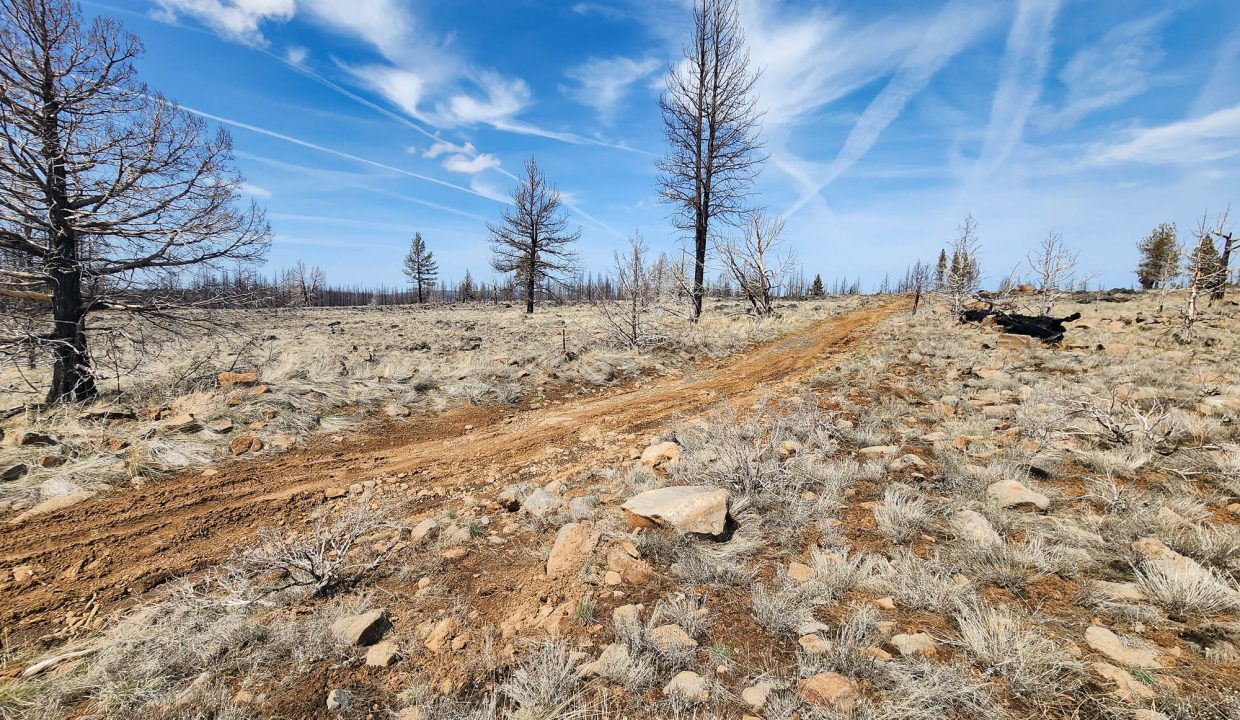 180413 SW corner looking NW