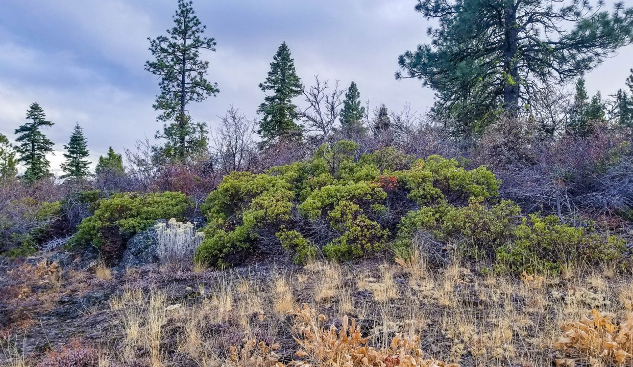 388501-Bluffs in center looking SE