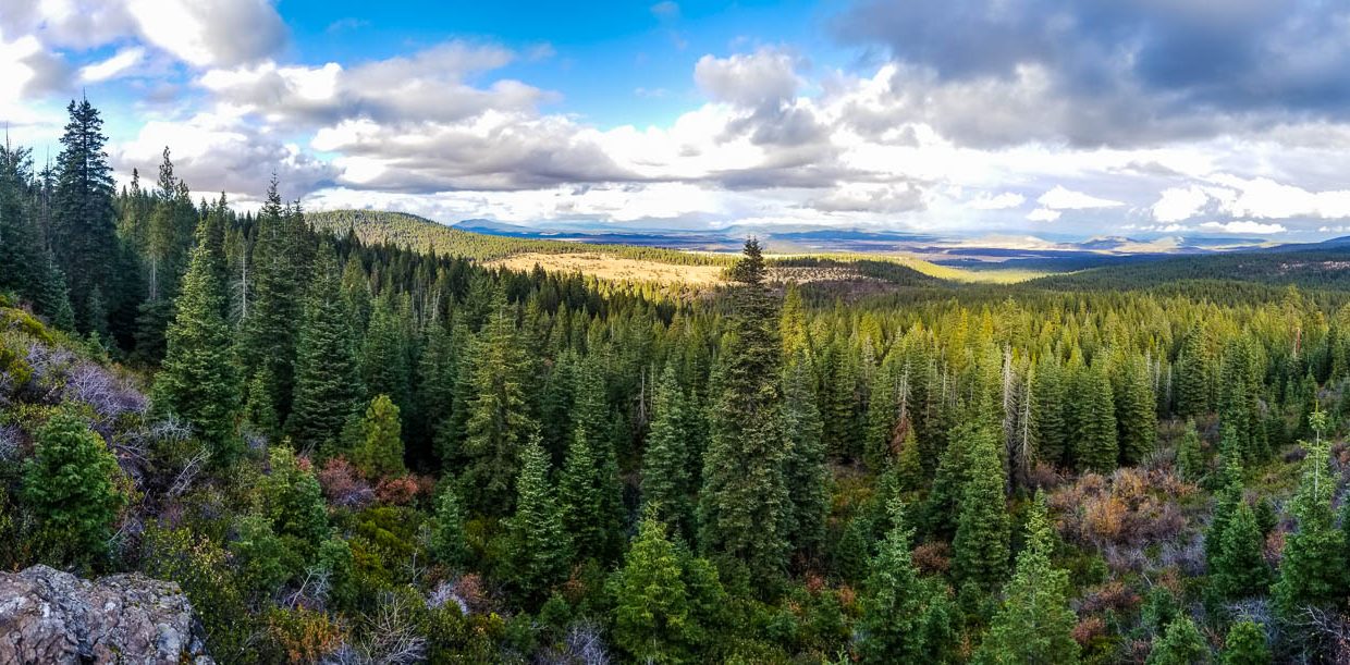 388501-Bluffs panorama