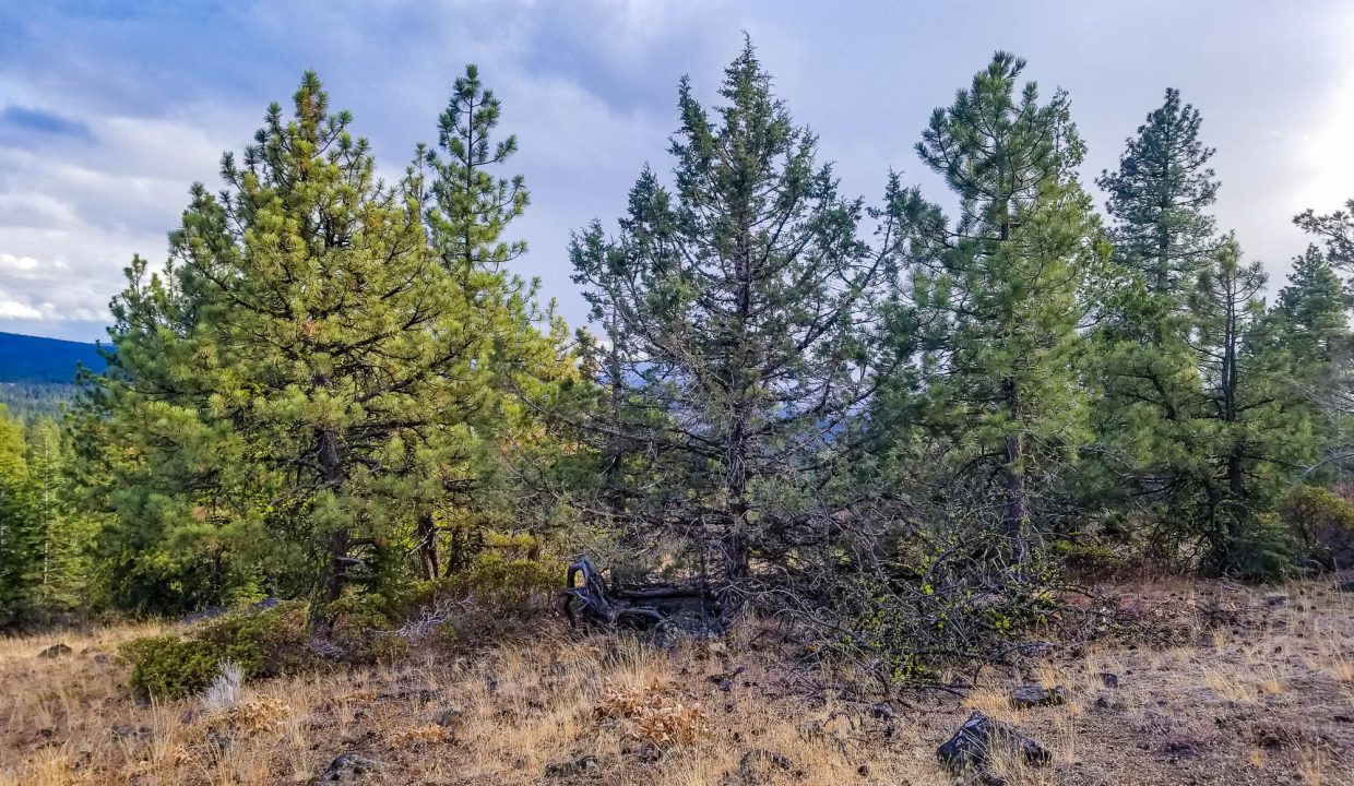 388501-Center looking SE