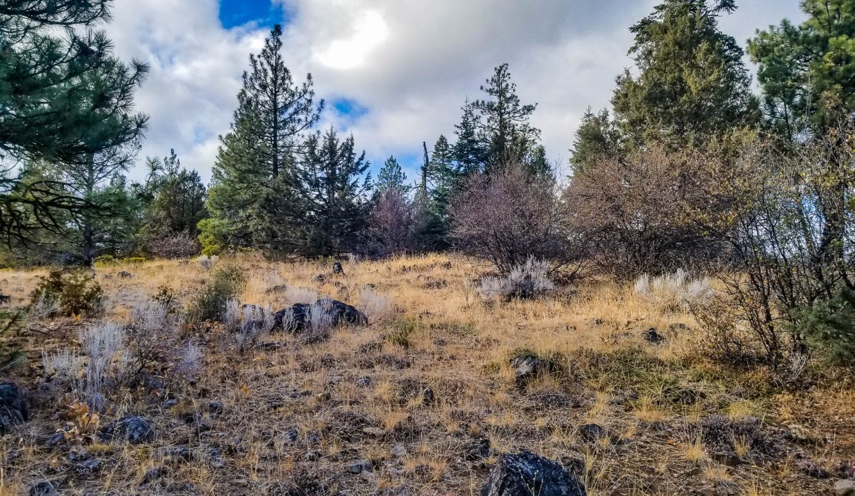 388501-Center looking W