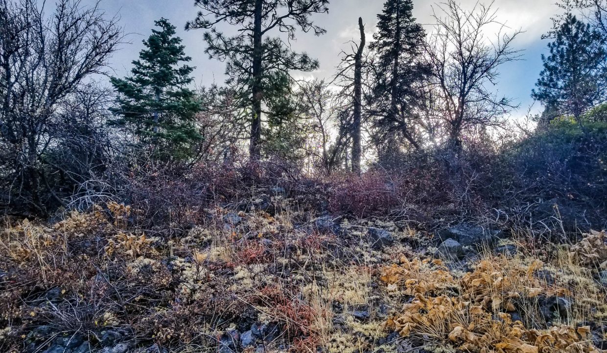 388501-E edge of bluffs looking S