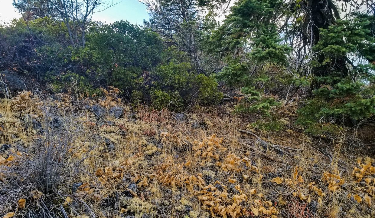 388501-E edge of bluffs looking SW