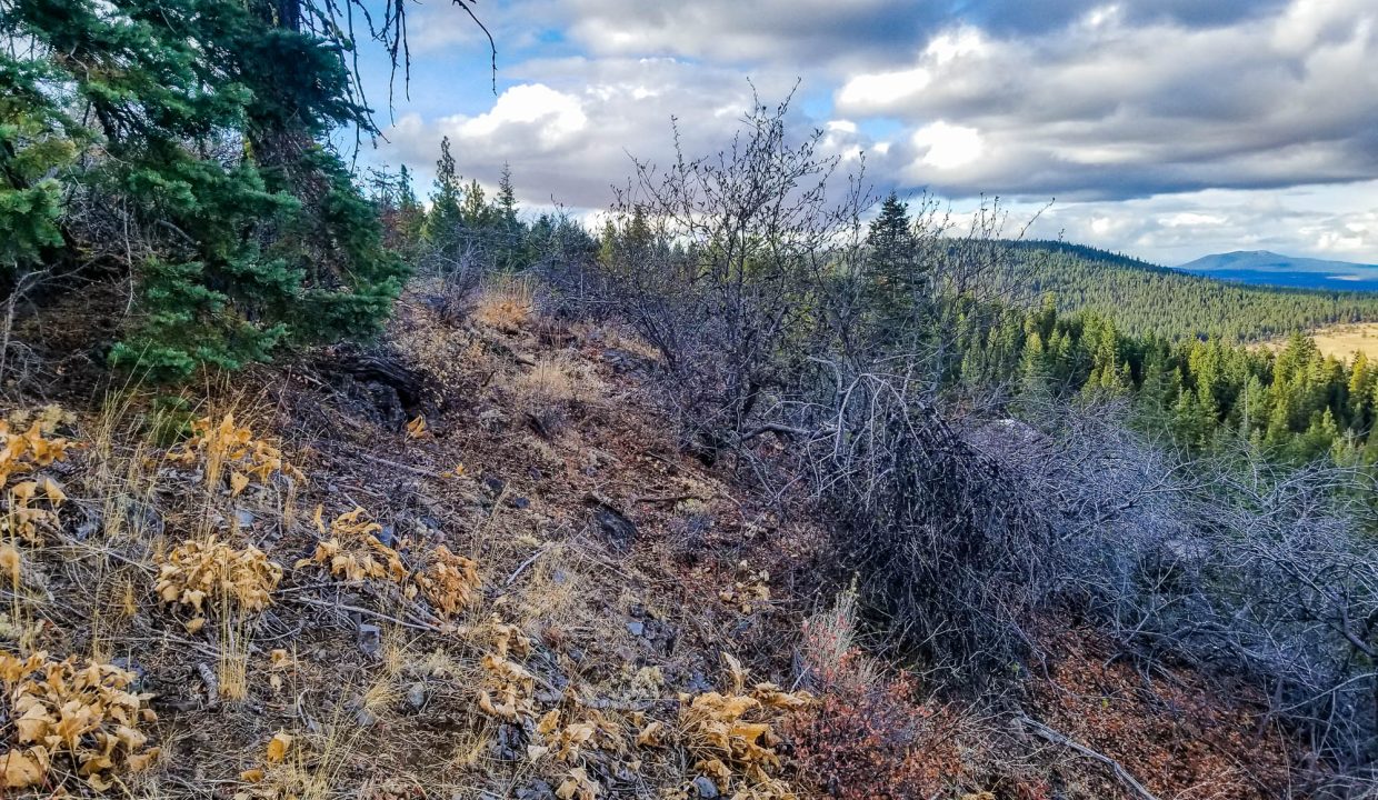 388501-E edge of bluffs looking W