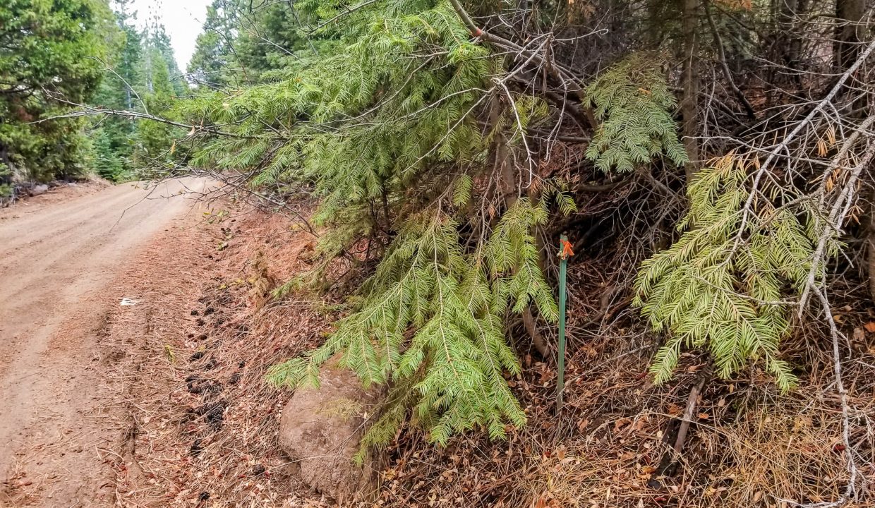 388501-NE Corner marker(1)