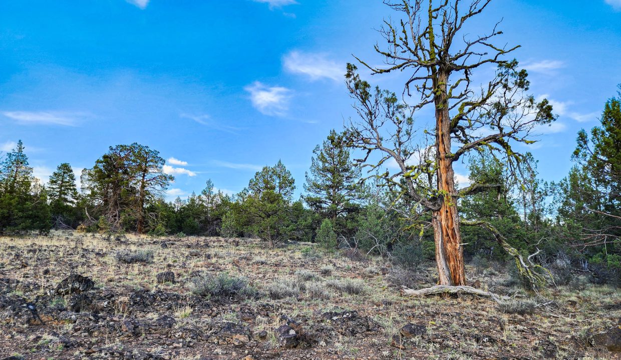 392079-Center of Property 1