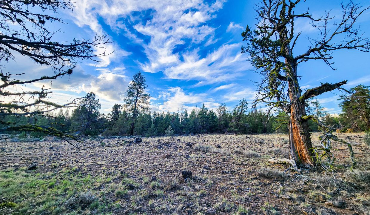 392079-Center of Property 2