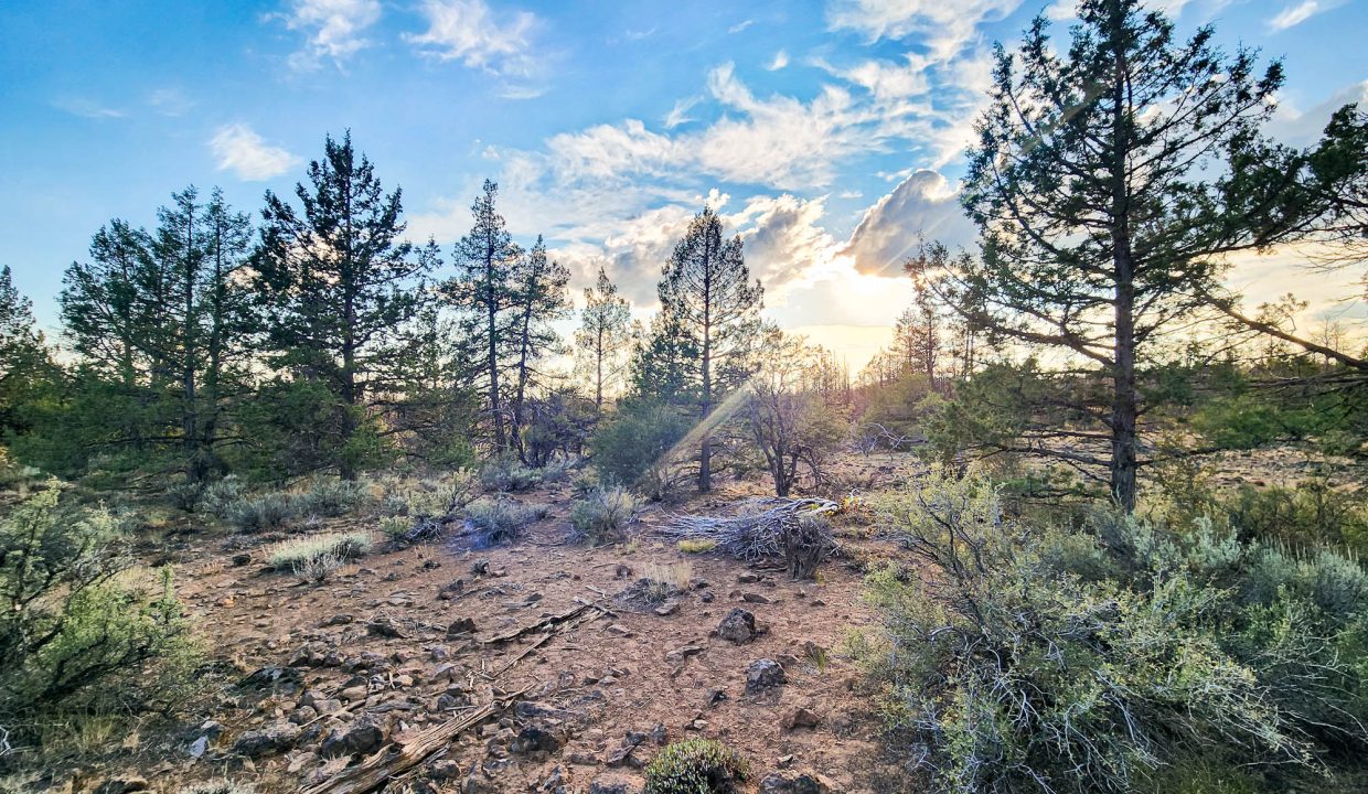 392079-Center of Property 3