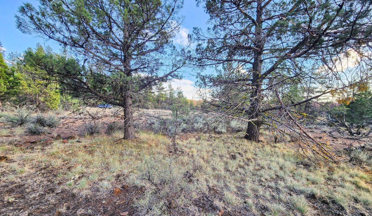 392079-Center of Property Looking SE