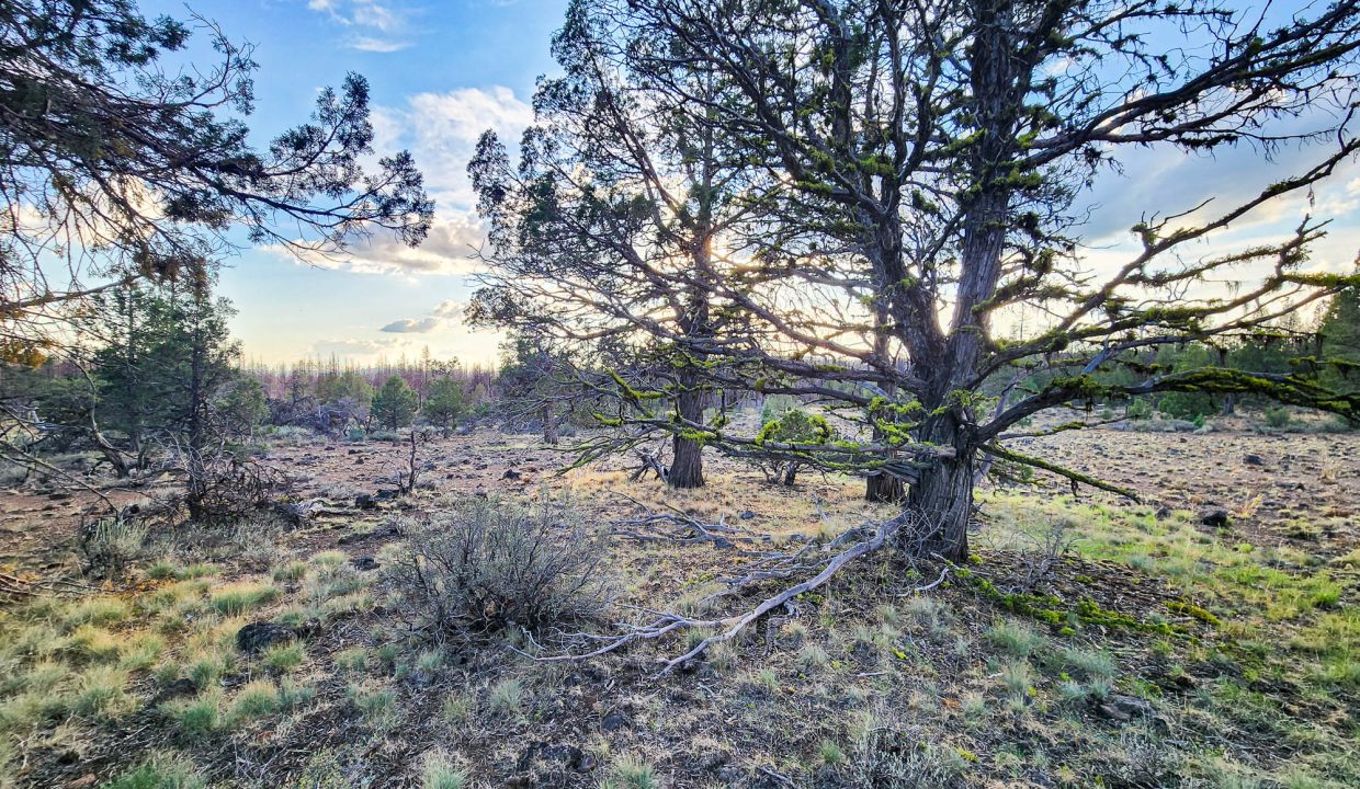 392079-Center of Property Looking SW