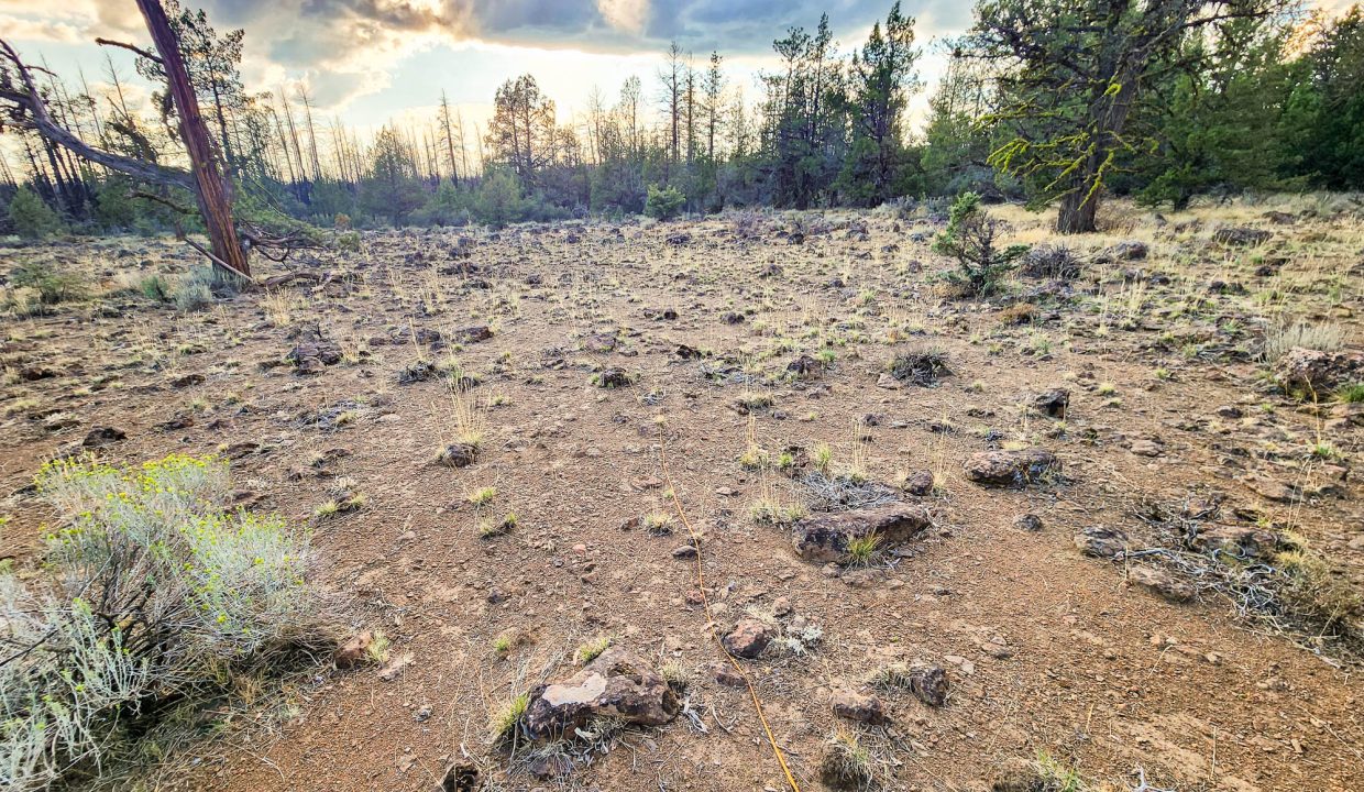 392079-N edge of property 5