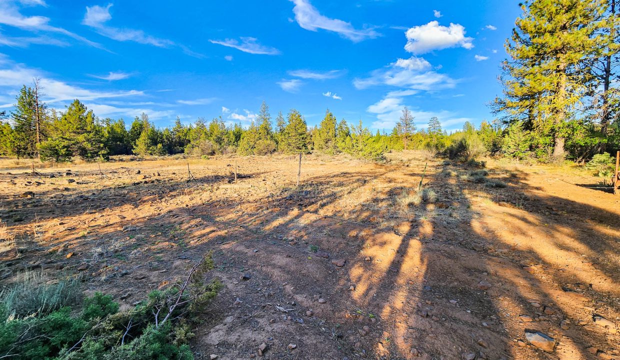 392079-National Forest Boundary 1