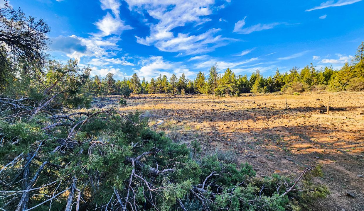 392079-National Forest Boundary 2