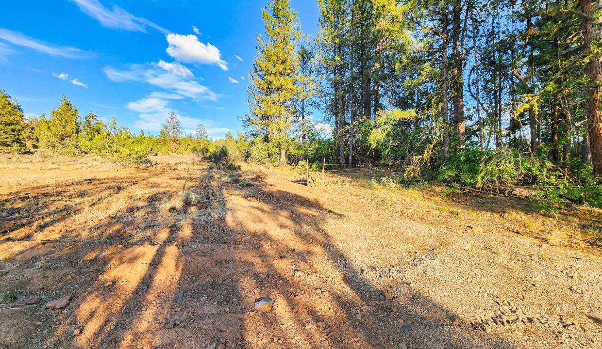 392079-National Forest Boundary 3