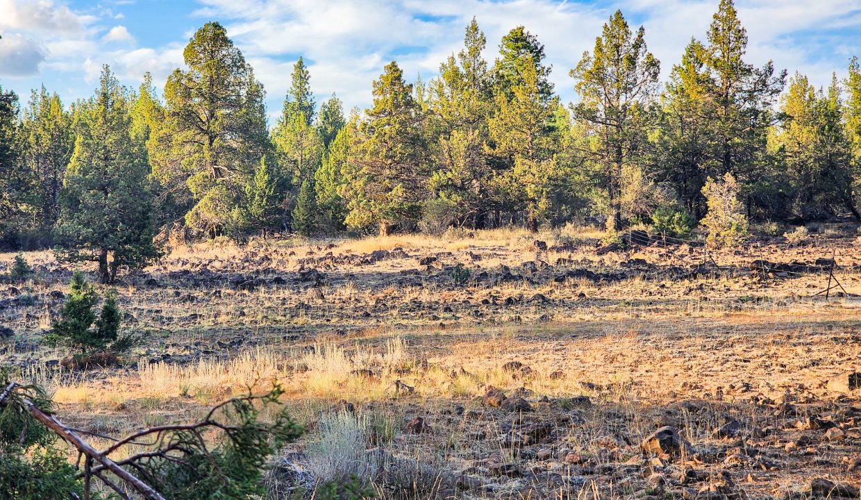 392079-National Forest Boundary 7
