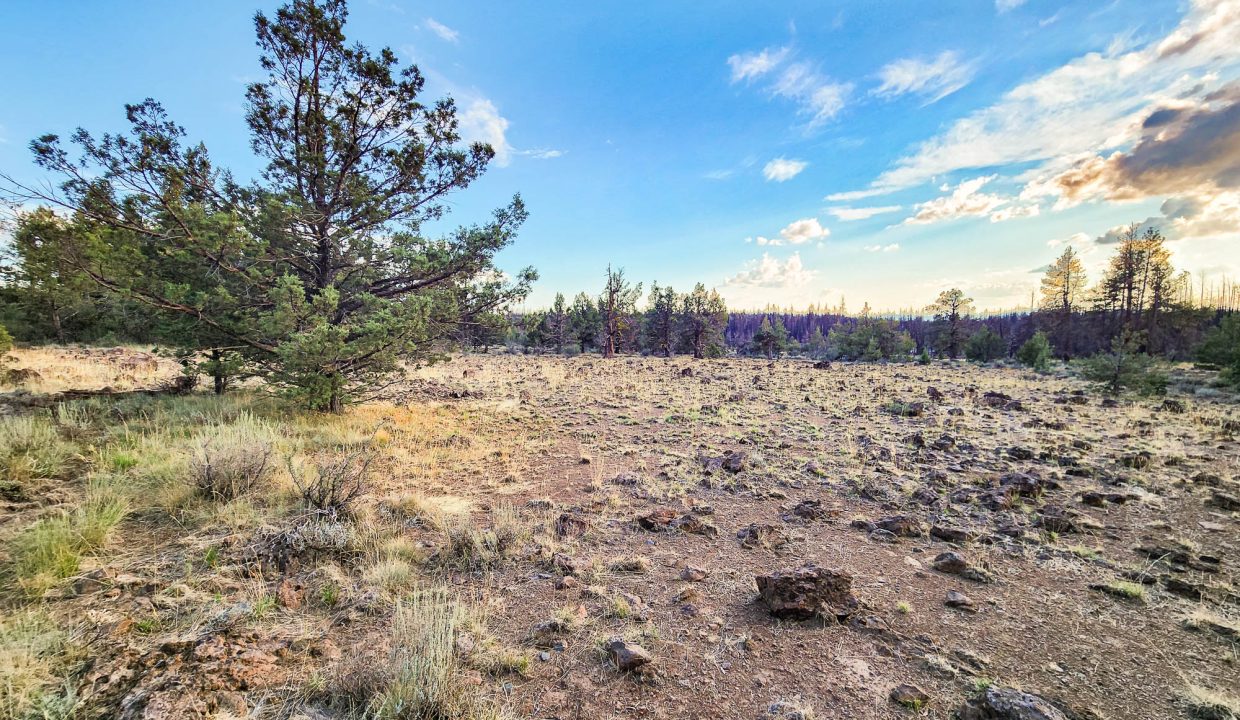 392079-NE Corner Looking S