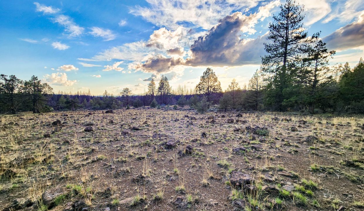 392079-Rocky field on property 2