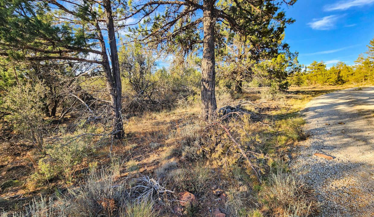 392079-SW Corner Looking NE