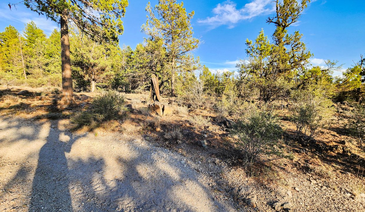 392079-SW Corner Looking SE