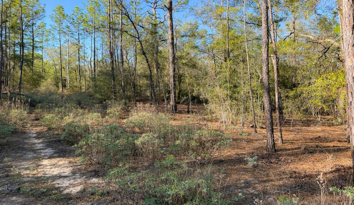 073N20280550210010-3