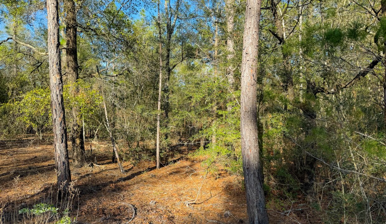 073N20280550210010-5