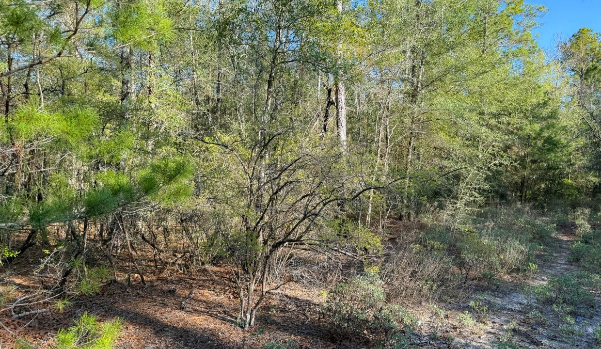 073N20280550210010-9