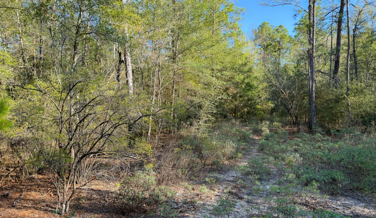073N20280550210010-10