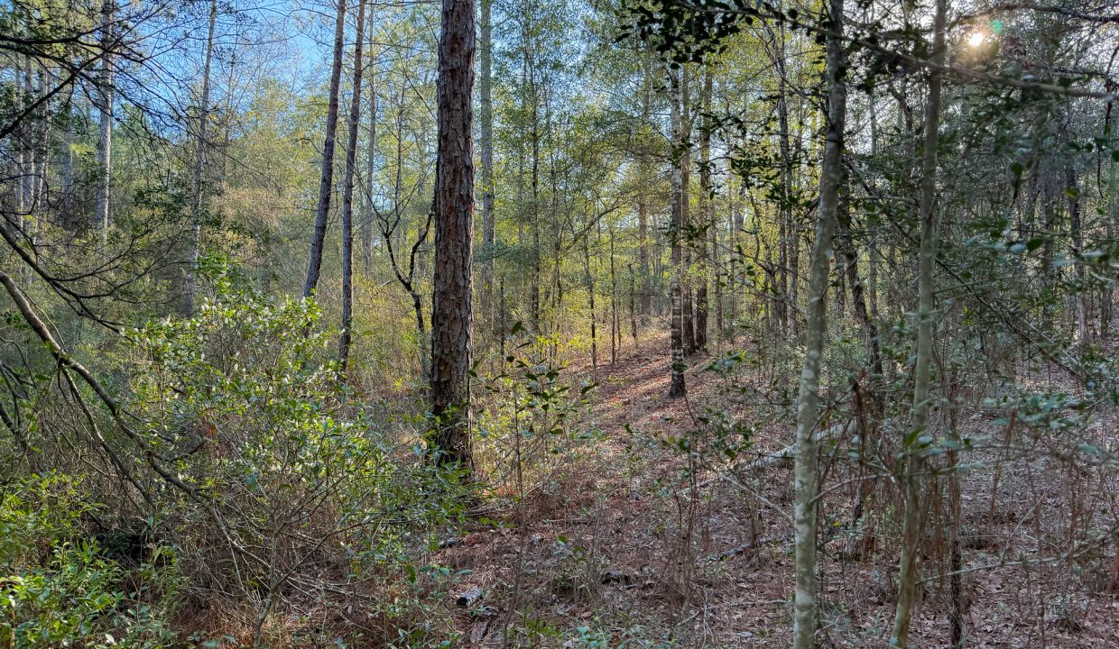 073N20280550210010-35