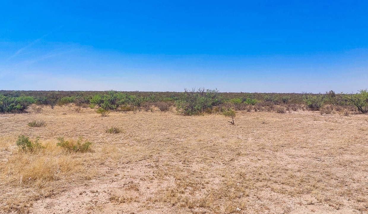 Area Image-1