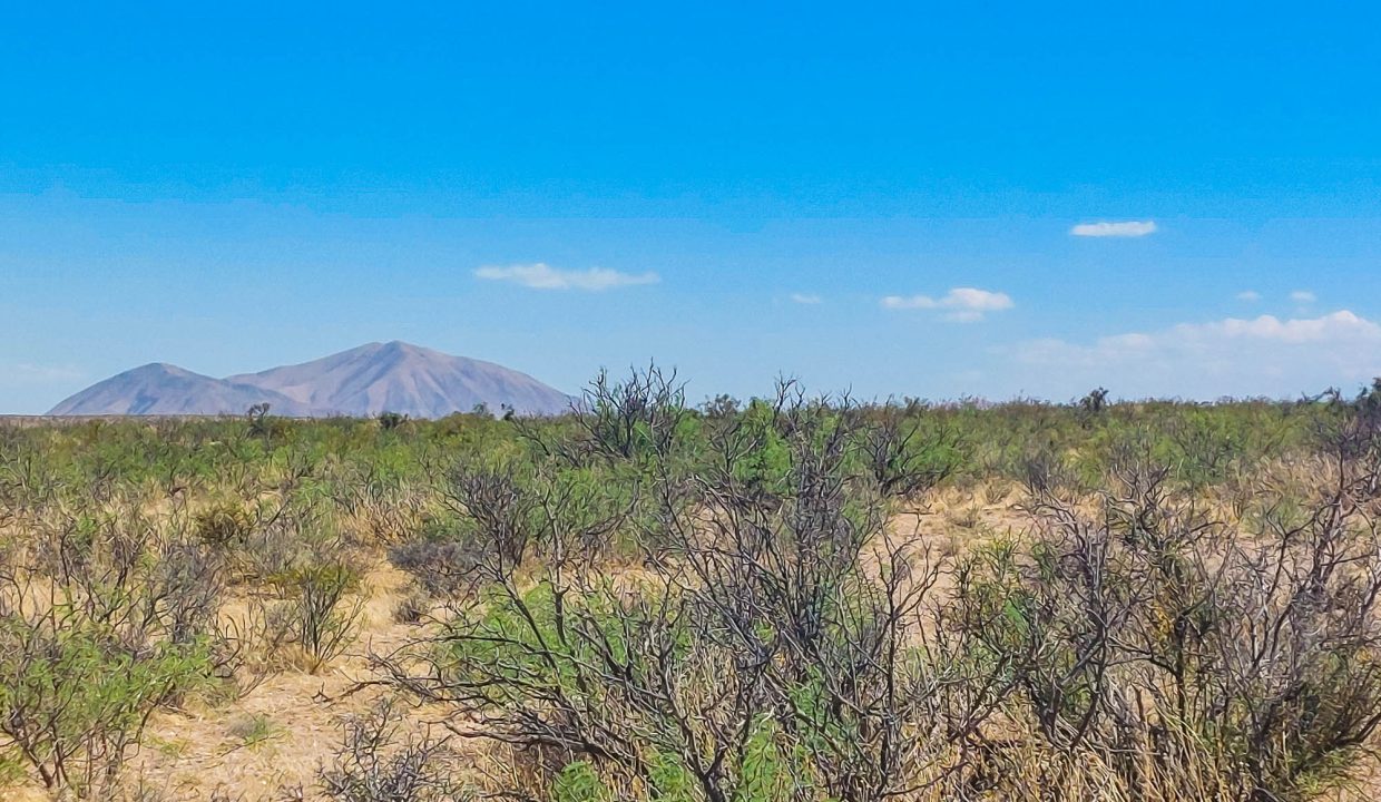 Area Image-4