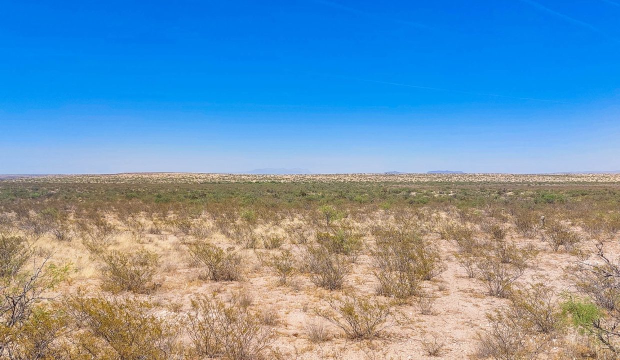 Area Image-19