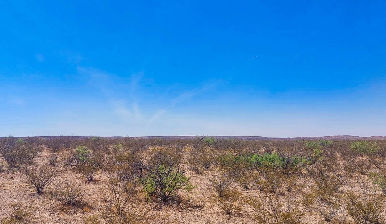 Area Image-21