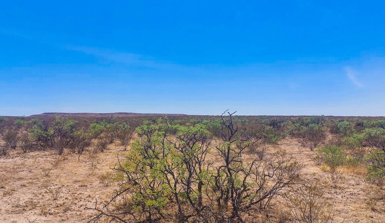 Area Image-18