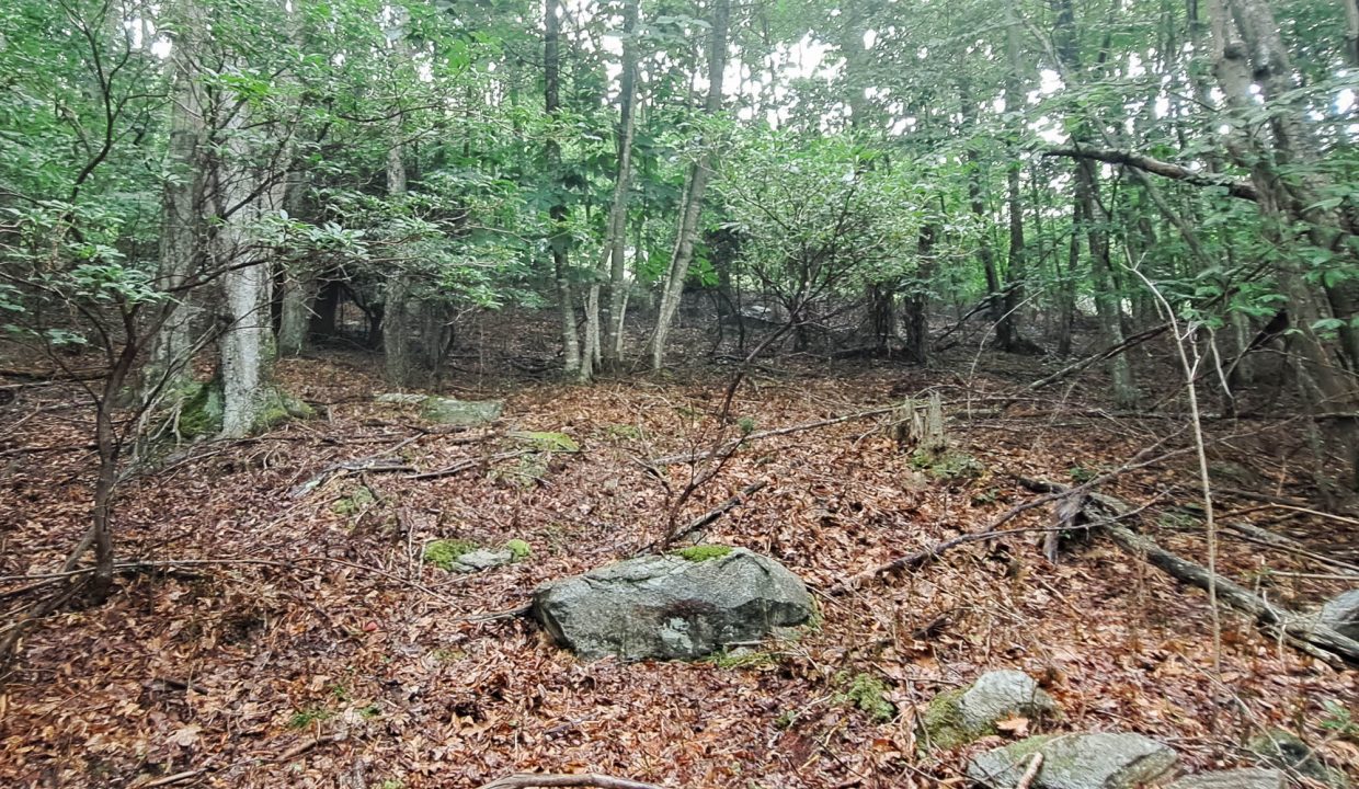 1940-57-0395-000-16