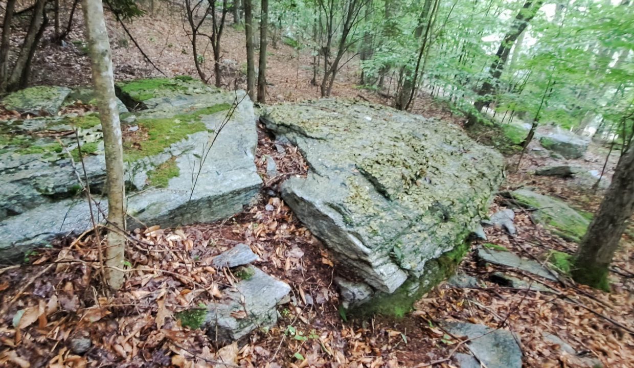 1940-57-0395-000-19