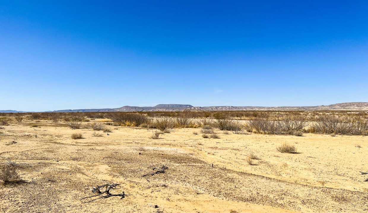 area image 2