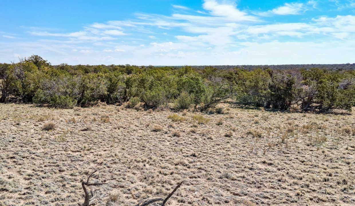 206-33-001 East view