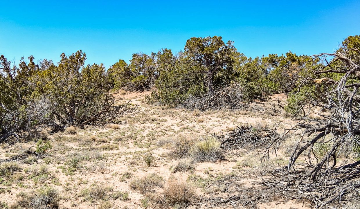 206-33-001 Hilly terrain north side
