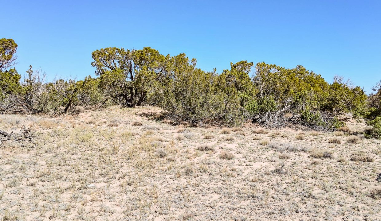 206-33-001 North view
