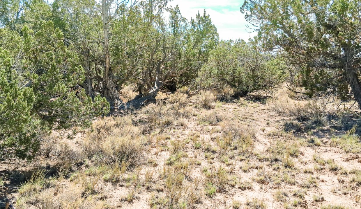 206-33-001 SE view from SE Corner