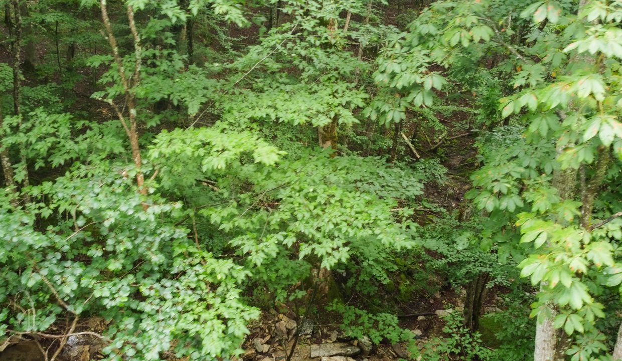 DCIM101MEDIADJI_0214.JPG