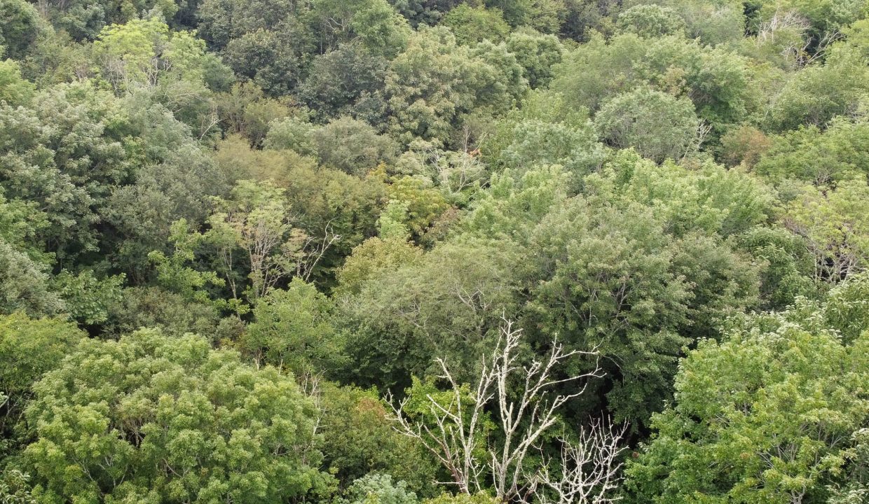 DCIM101MEDIADJI_0210.JPG
