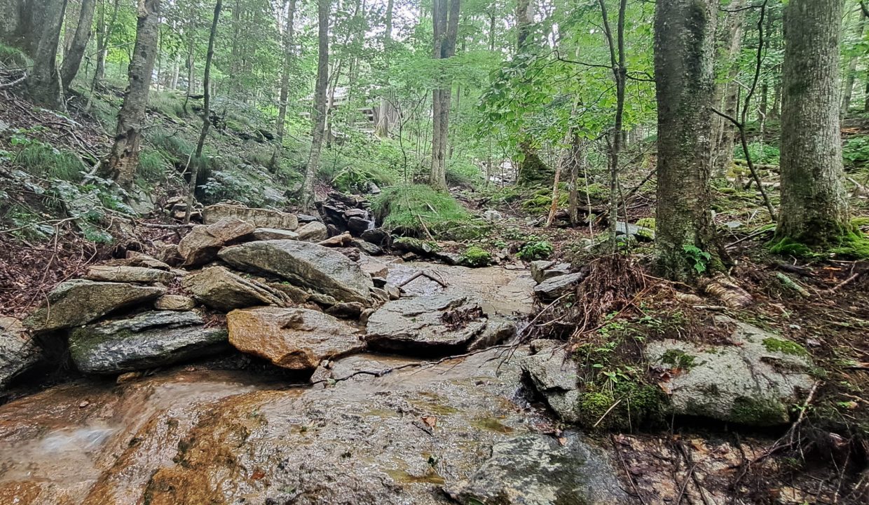 1940-65-0893-000-25