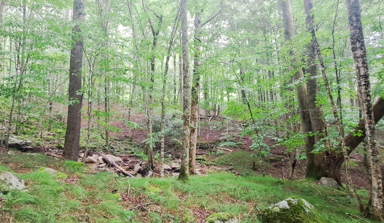 1940-65-0893-000-32