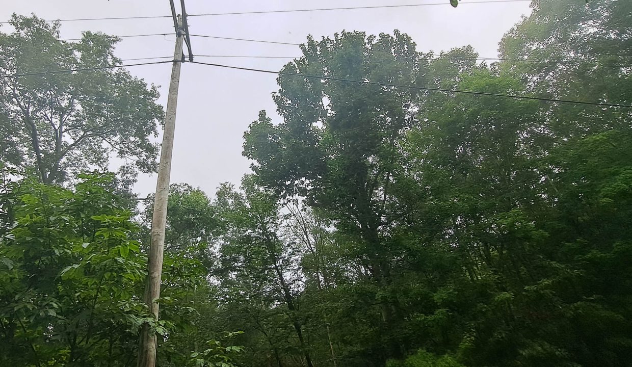 1940-65-0893-000-34