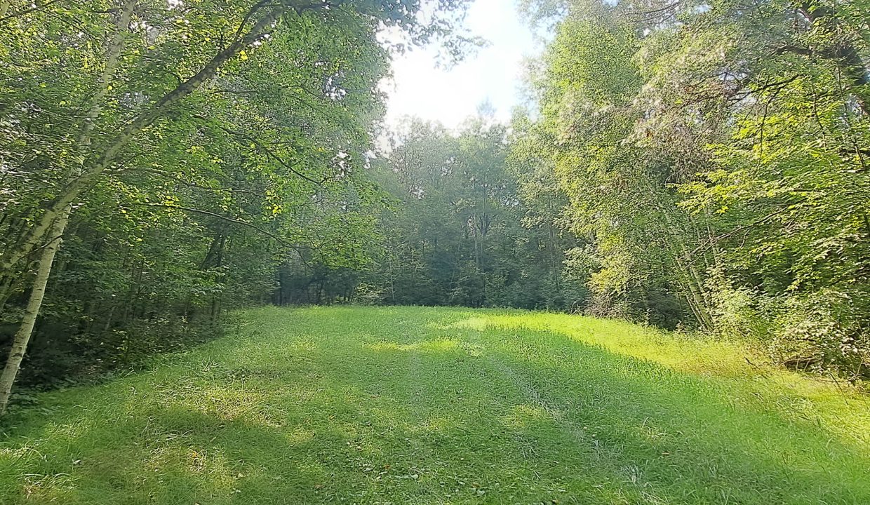 Sylvan Shores Area-3