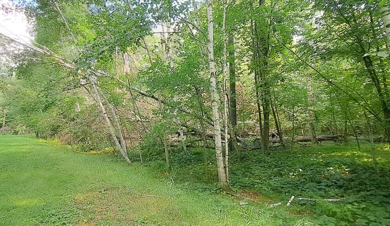 Sylvan Shores Area-4