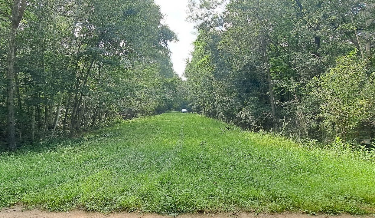 Sylvan Shores Area-6